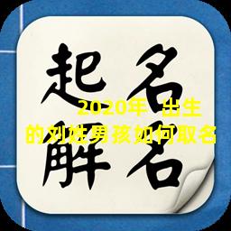 2020年  出生的刘姓男孩如何取名 